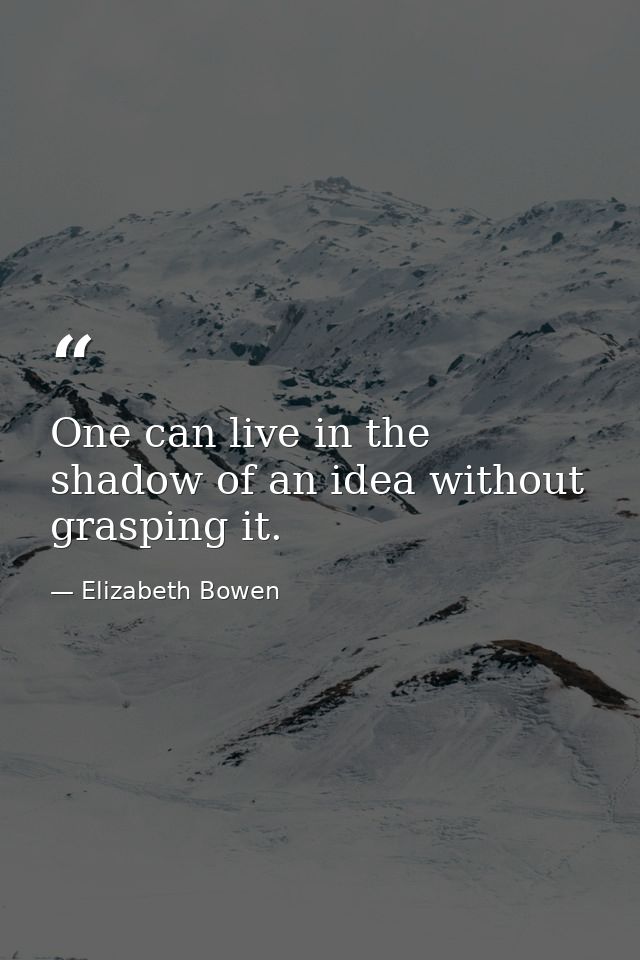 One can live in the shadow of an idea without grasping it. — Elizabeth Bowen