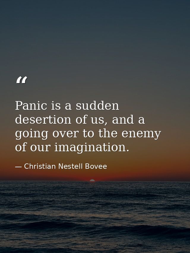 Panic is a sudden desertion of us, and a going over to the enemy of our imagination. — Christian Nestell Bovee