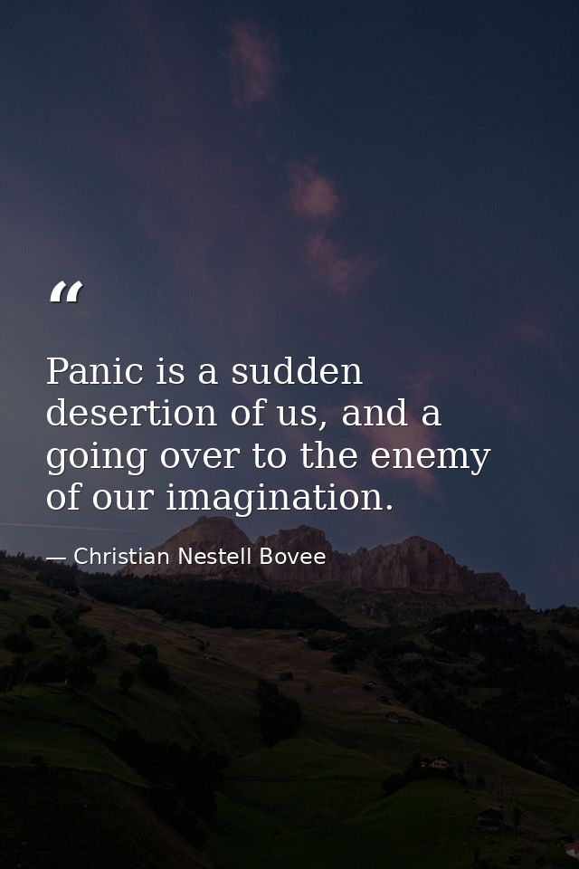 Panic is a sudden desertion of us, and a going over to the enemy of our imagination. — Christian Nestell Bovee