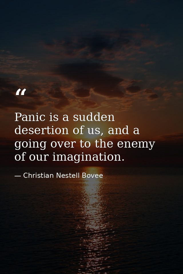 Panic is a sudden desertion of us, and a going over to the enemy of our imagination. — Christian Nestell Bovee