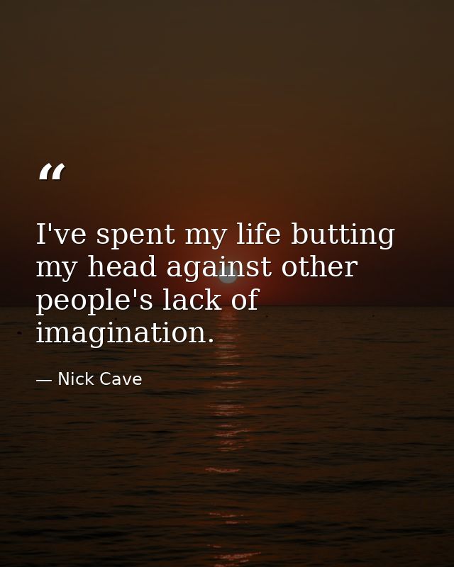 I've spent my life butting my head against other people's lack of imagination. — Nick Cave