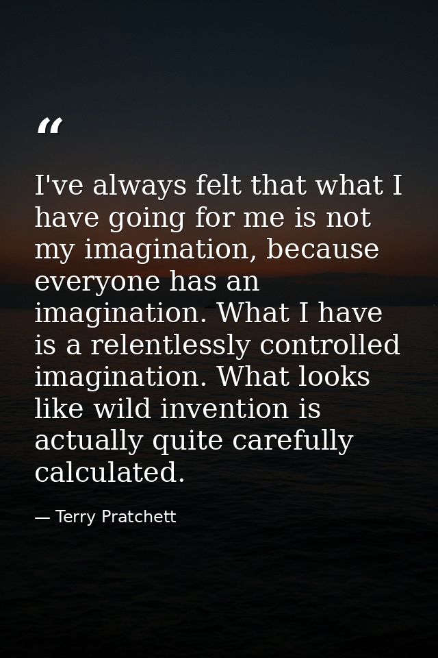 I've always felt that what I have going for me is not my imagination, because everyone has an imagination. What I have i — Terry Pratchett