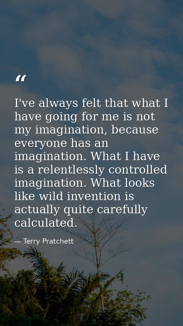I've always felt that what I have going for me is not my imagination, because everyone has an imagination. What I have i — Terry Pratchett