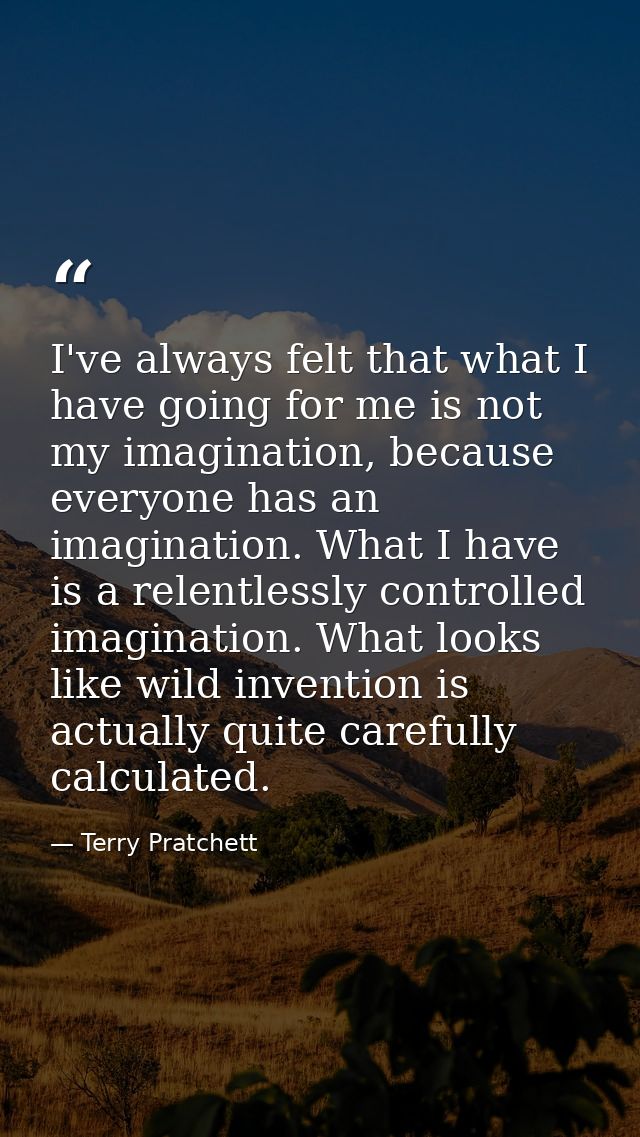I've always felt that what I have going for me is not my imagination, because everyone has an imagination. What I have i — Terry Pratchett