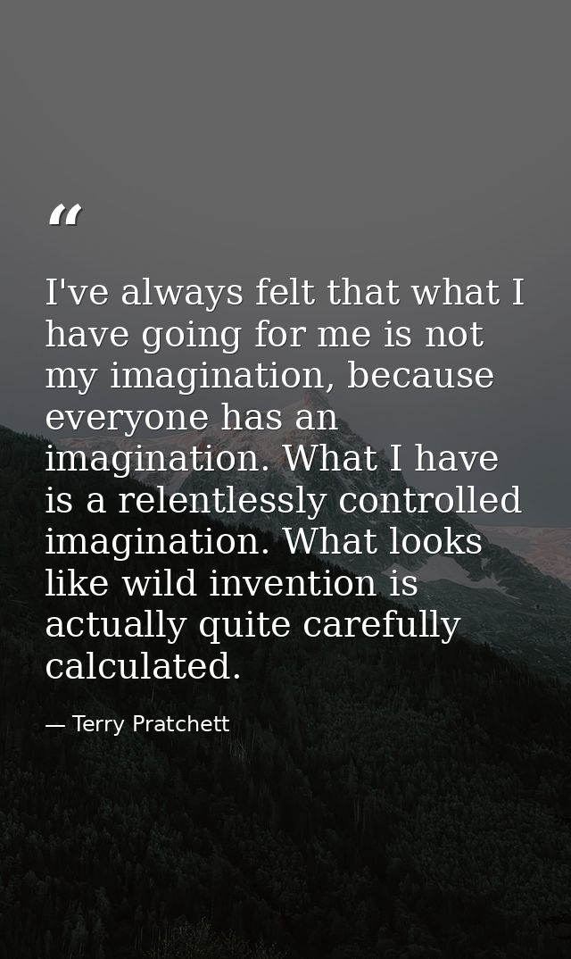 I've always felt that what I have going for me is not my imagination, because everyone has an imagination. What I have i — Terry Pratchett