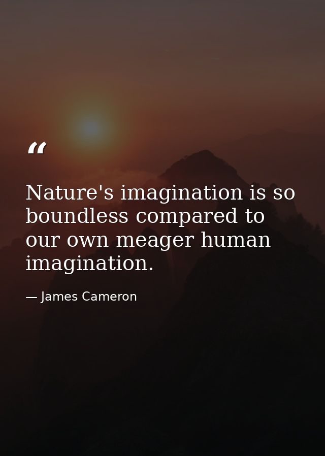 Nature's imagination is so boundless compared to our own meager human imagination. — James Cameron