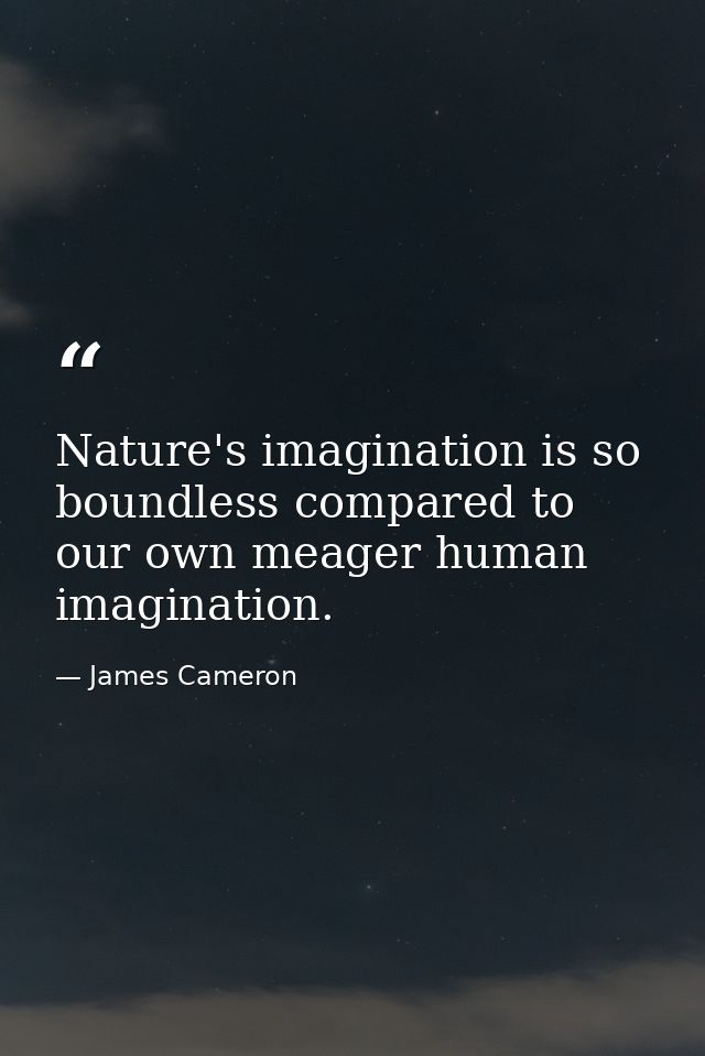 Nature's imagination is so boundless compared to our own meager human imagination. — James Cameron