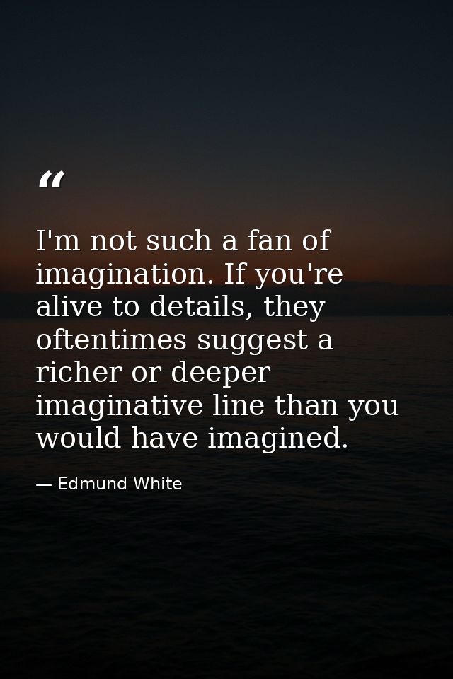 I'm not such a fan of imagination. If you're alive to details, they oftentimes suggest a richer or deeper imaginative li — Edmund White
