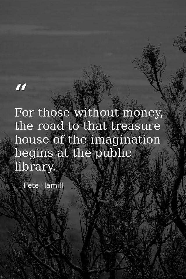 For those without money, the road to that treasure house of the imagination begins at the public library. — Pete Hamill