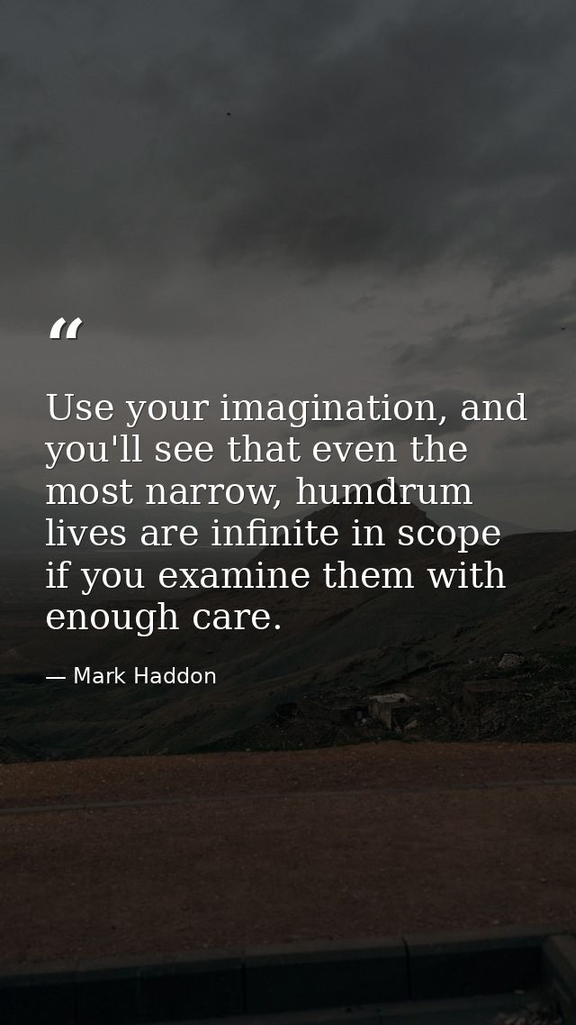 Use your imagination, and you'll see that even the most narrow, humdrum lives are infinite in scope if you examine them  — Mark Haddon