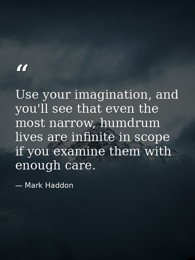 Use your imagination, and you'll see that even the most narrow, humdrum lives are infinite in scope if you examine them  — Mark Haddon