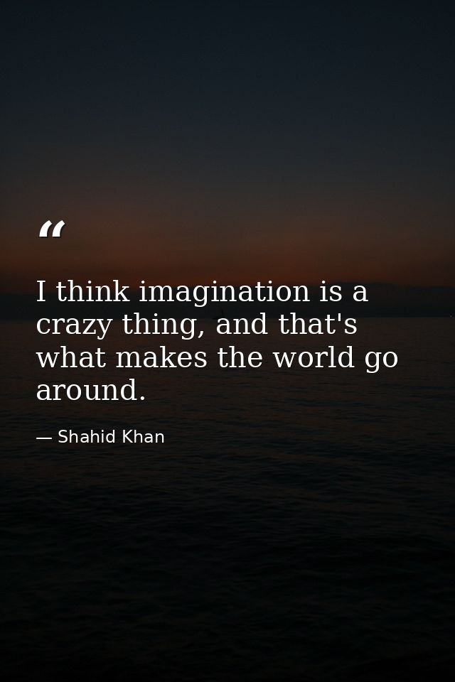 I think imagination is a crazy thing, and that's what makes the world go around. — Shahid Khan