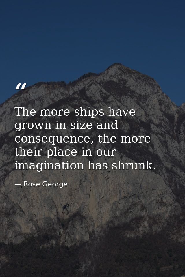 The more ships have grown in size and consequence, the more their place in our imagination has shrunk. — Rose George