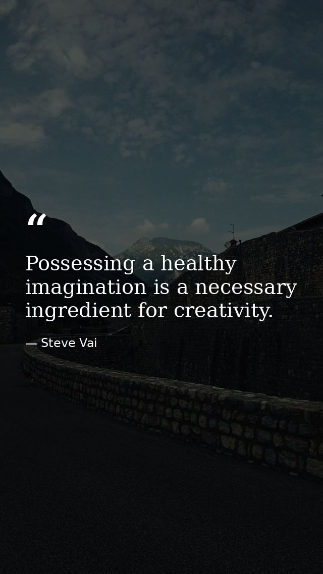 Possessing a healthy imagination is a necessary ingredient for creativity. — Steve Vai
