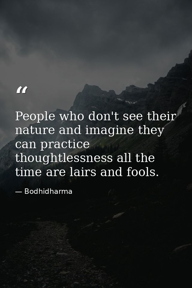 People who don't see their nature and imagine they can practice thoughtlessness all the time are lairs and fools. — Bodhidharma