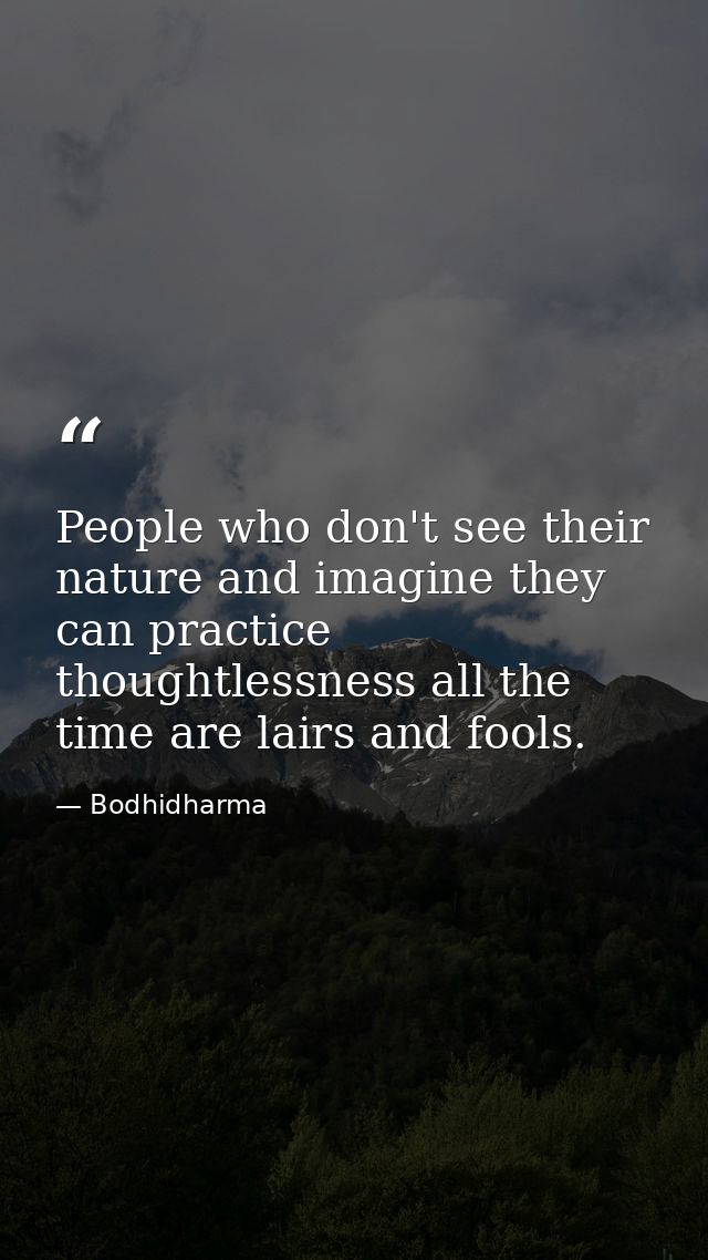 People who don't see their nature and imagine they can practice thoughtlessness all the time are lairs and fools. — Bodhidharma