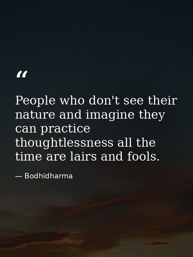 People who don't see their nature and imagine they can practice thoughtlessness all the time are lairs and fools. — Bodhidharma