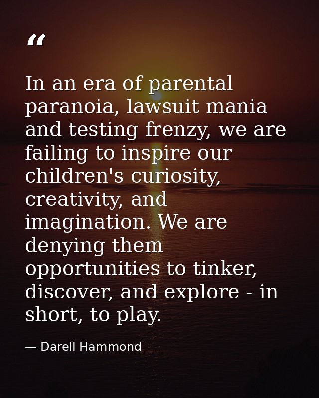 In an era of parental paranoia, lawsuit mania and testing frenzy, we are failing to inspire our children's curiosity, cr — Darell Hammond