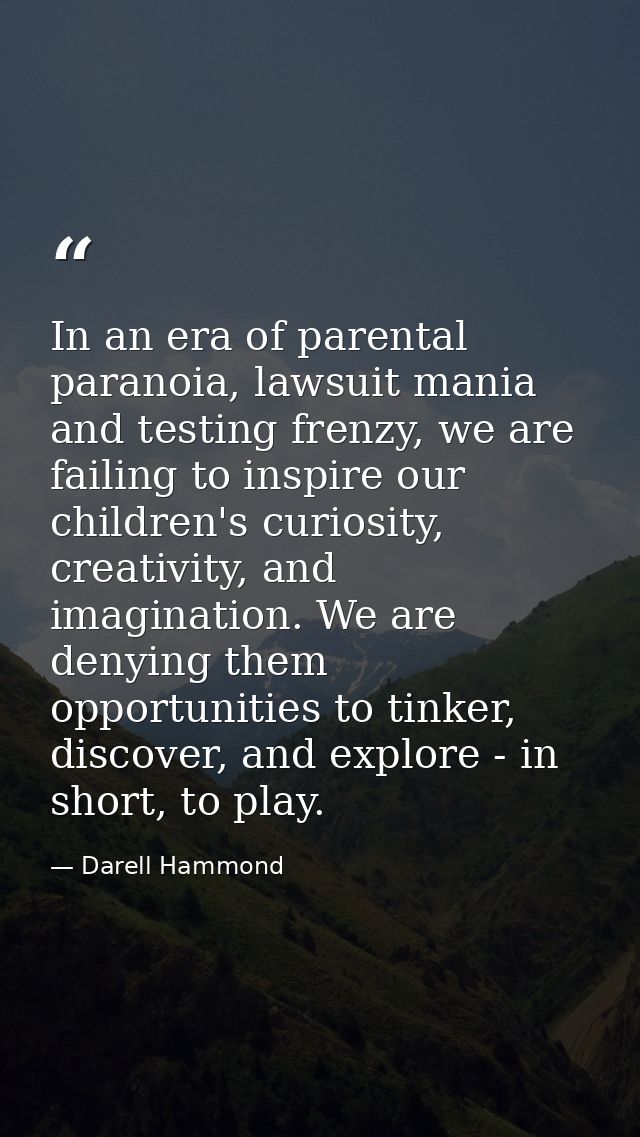 In an era of parental paranoia, lawsuit mania and testing frenzy, we are failing to inspire our children's curiosity, cr — Darell Hammond