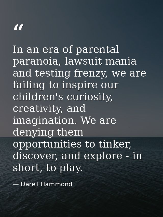 In an era of parental paranoia, lawsuit mania and testing frenzy, we are failing to inspire our children's curiosity, cr — Darell Hammond