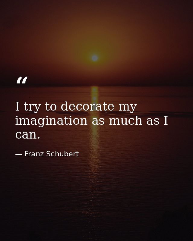 I try to decorate my imagination as much as I can. — Franz Schubert