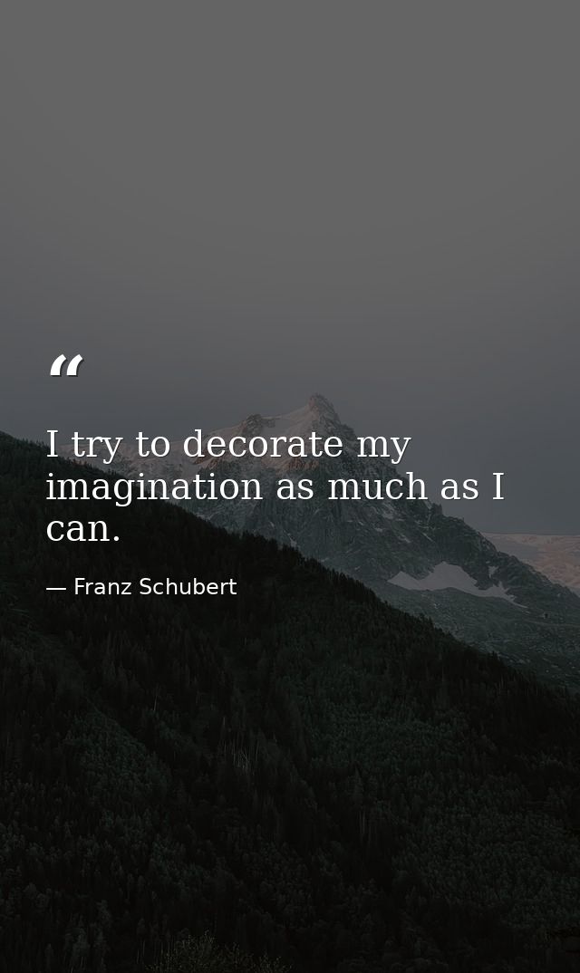 I try to decorate my imagination as much as I can. — Franz Schubert