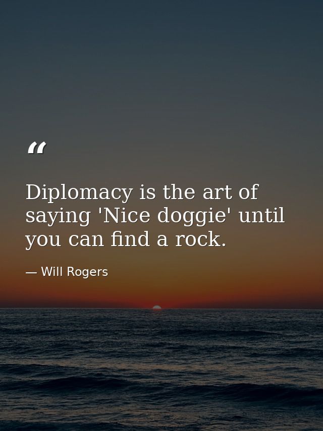 Diplomacy is the art of saying 'Nice doggie' until you can find a rock. — Will Rogers