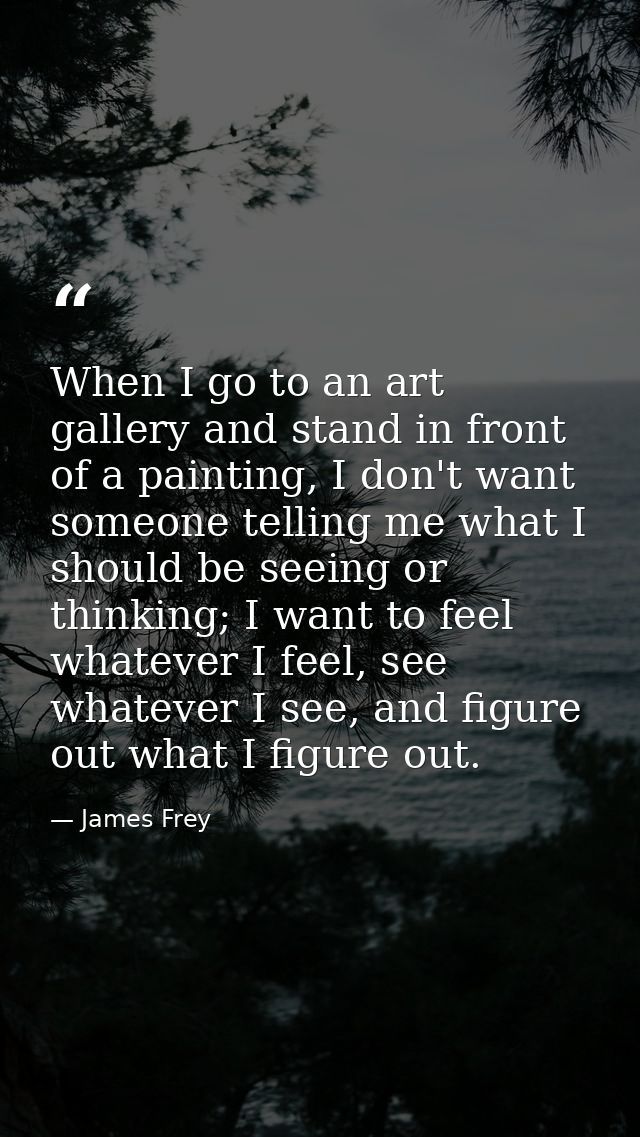 When I go to an art gallery and stand in front of a painting, I don't want someone telling me what I should be seeing or — James Frey
