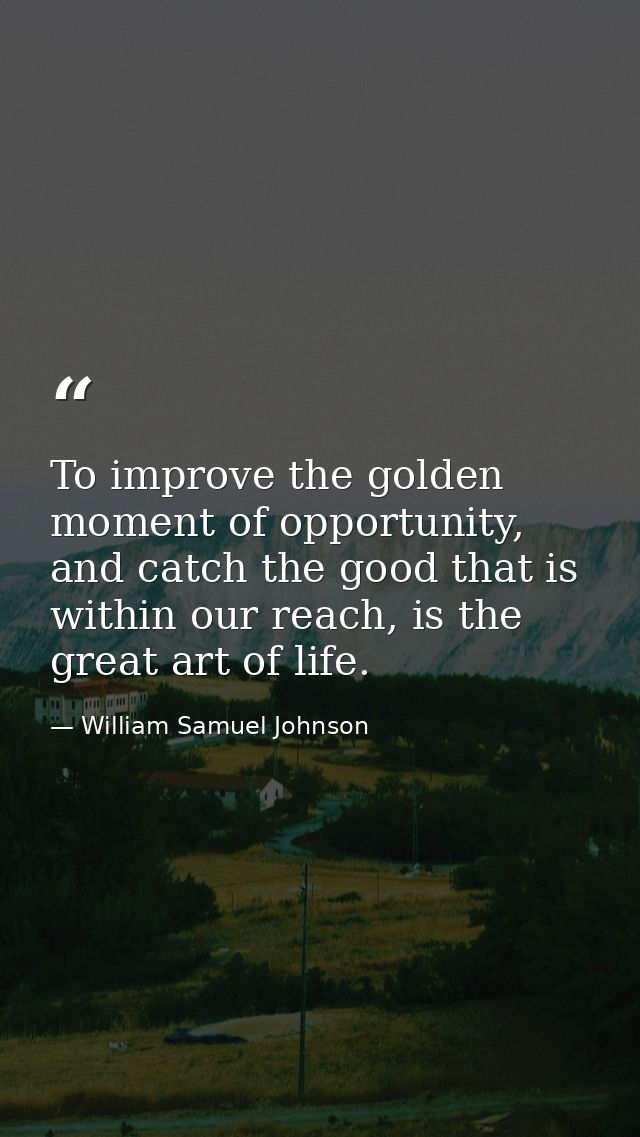 To improve the golden moment of opportunity, and catch the good that is within our reach, is the great art of life. — William Samuel Johnson