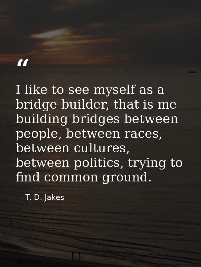 I like to see myself as a bridge builder, that is me building bridges between people, between races, between cultures, b — T. D. Jakes