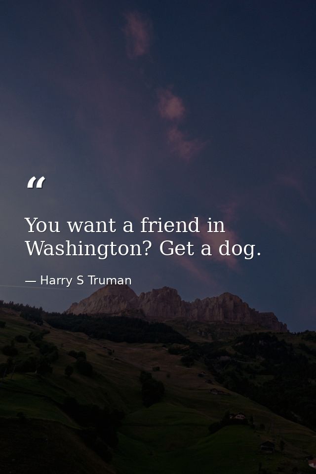 You want a friend in Washington? Get a dog. — Harry S Truman