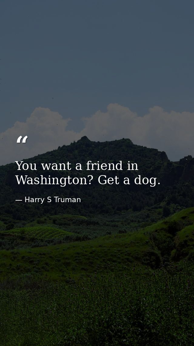 You want a friend in Washington? Get a dog. — Harry S Truman