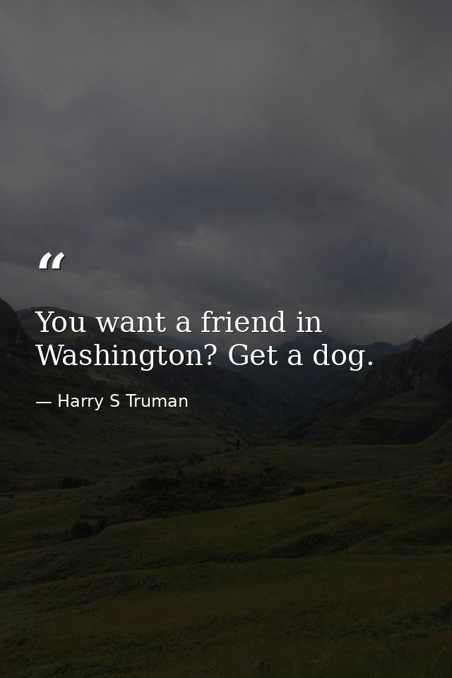 You want a friend in Washington? Get a dog. — Harry S Truman
