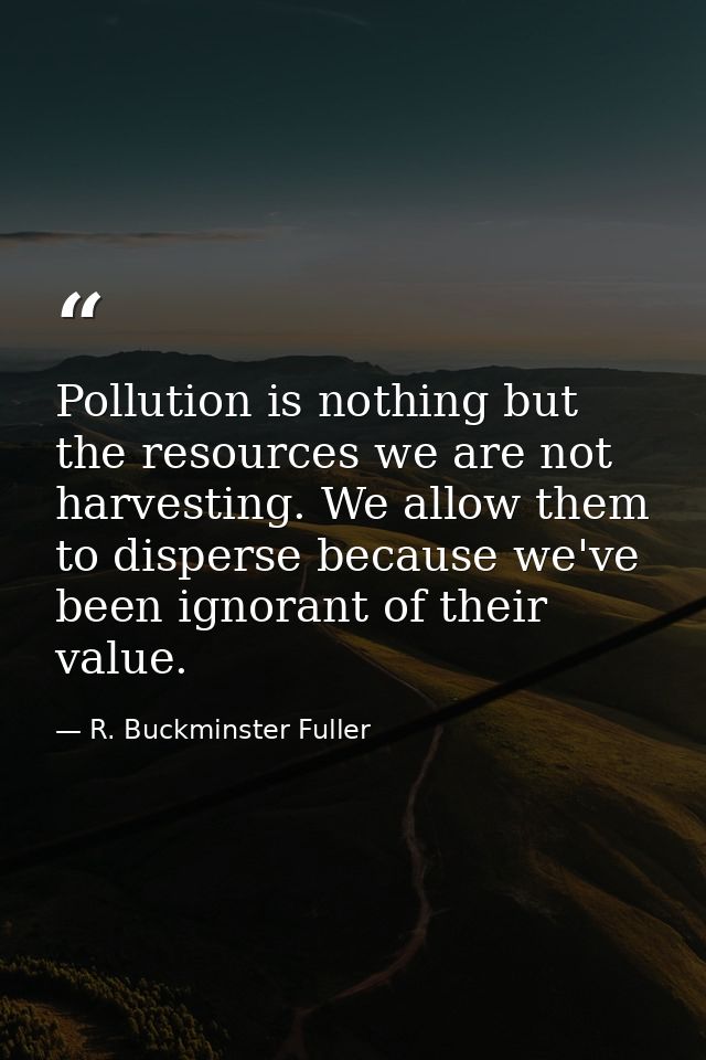 Pollution is nothing but the resources we are not harvesting. We allow them to disperse because we've been ignorant of t — R. Buckminster Fuller
