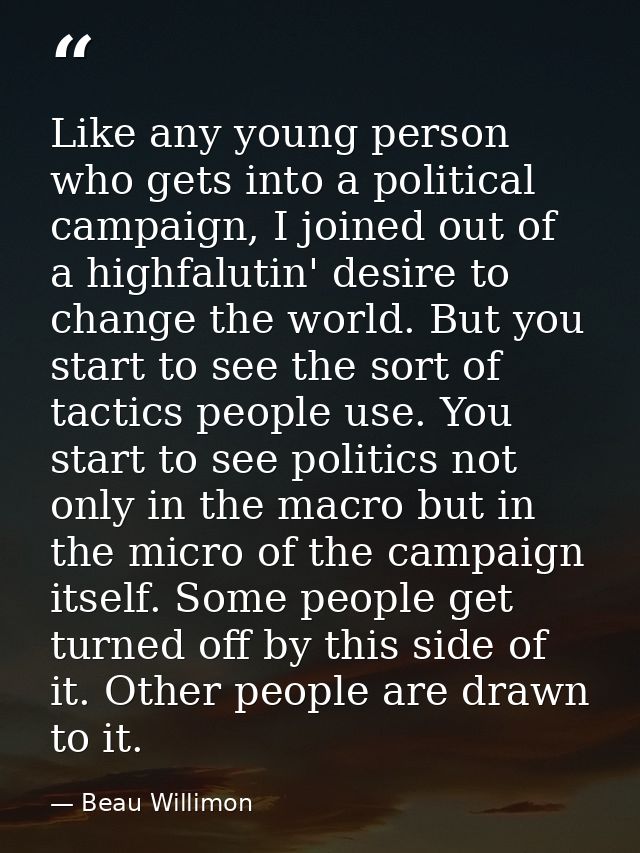 Like any young person who gets into a political campaign, I joined out of a highfalutin' desire to change the world. But — Beau Willimon