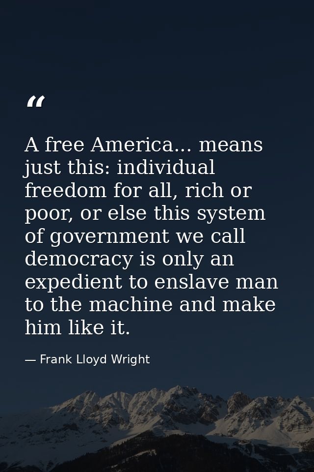 A free America... means just this: individual freedom for all, rich or poor, or else this system of government we call d — Frank Lloyd Wright