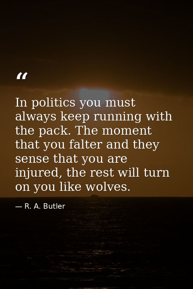 In politics you must always keep running with the pack. The moment that you falter and they sense that you are injured,  — R. A. Butler