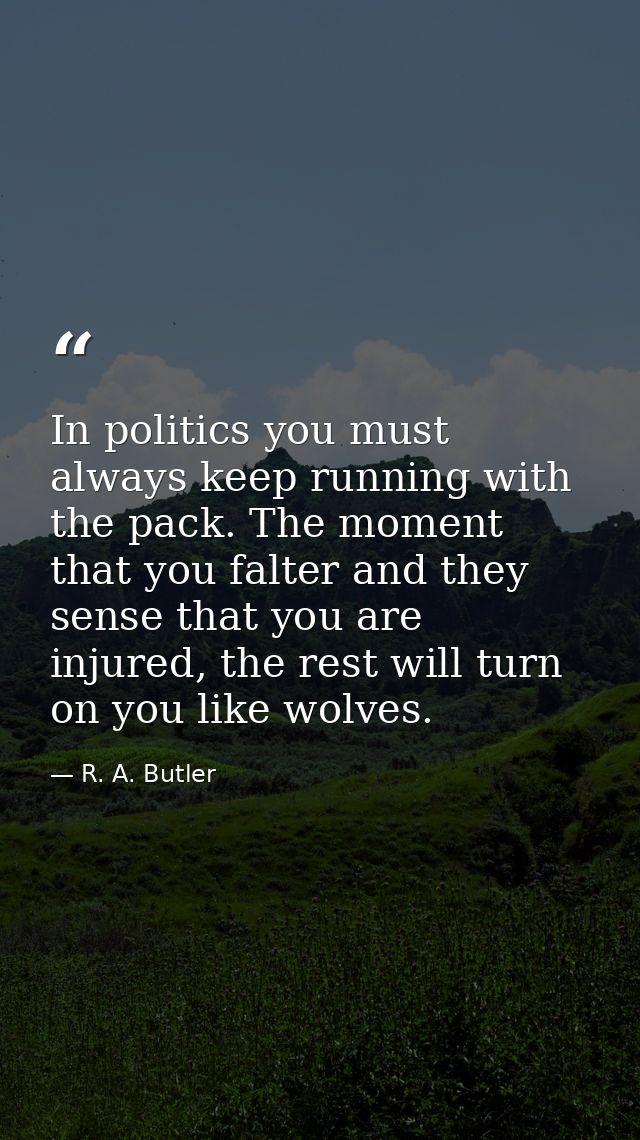 In politics you must always keep running with the pack. The moment that you falter and they sense that you are injured,  — R. A. Butler