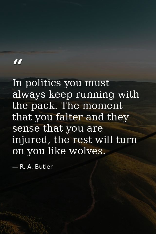 In politics you must always keep running with the pack. The moment that you falter and they sense that you are injured,  — R. A. Butler