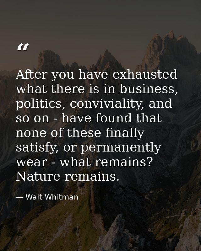 After you have exhausted what there is in business, politics, conviviality, and so on - have found that none of these fi — Walt Whitman