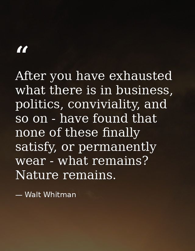 After you have exhausted what there is in business, politics, conviviality, and so on - have found that none of these fi — Walt Whitman