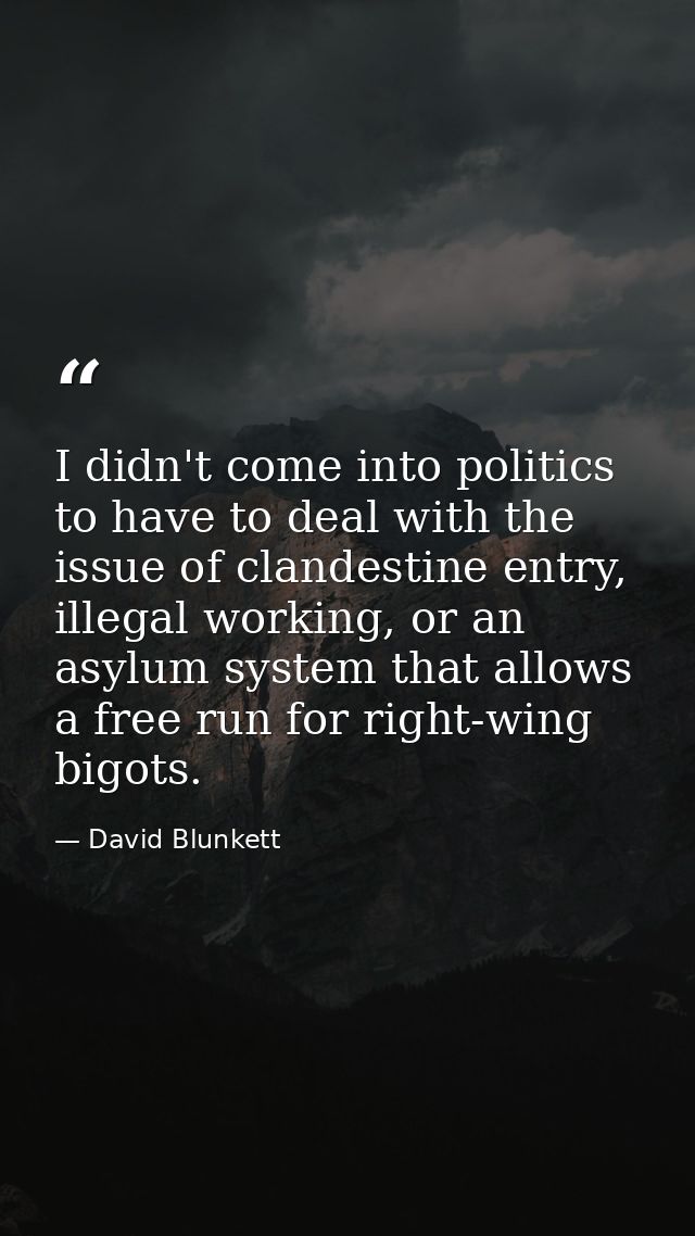 I didn't come into politics to have to deal with the issue of clandestine entry, illegal working, or an asylum system th — David Blunkett