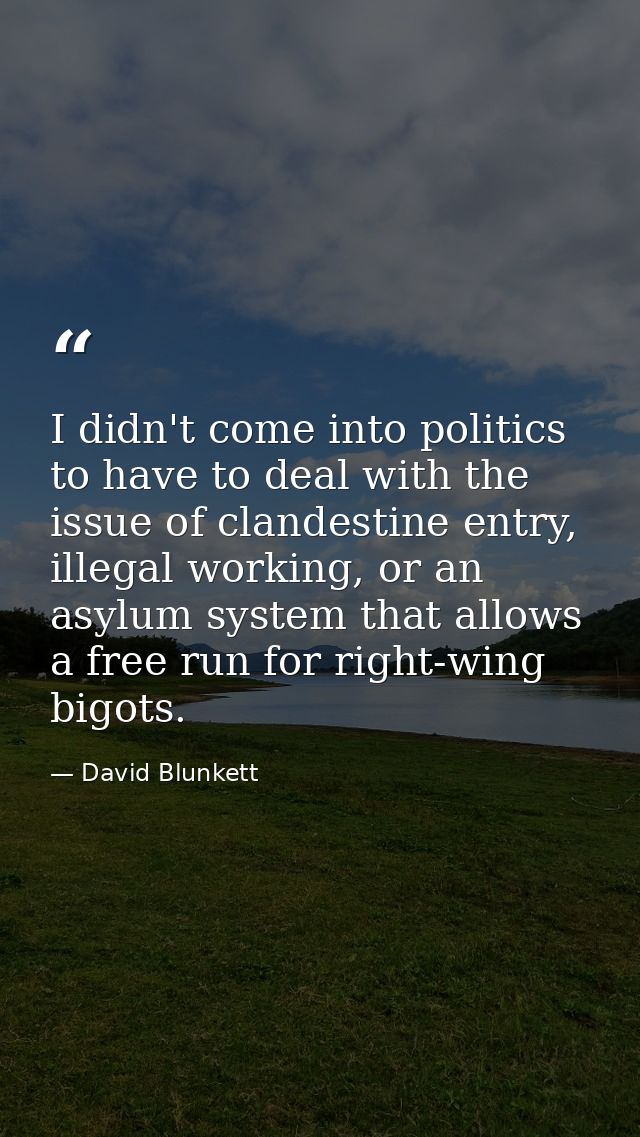 I didn't come into politics to have to deal with the issue of clandestine entry, illegal working, or an asylum system th — David Blunkett
