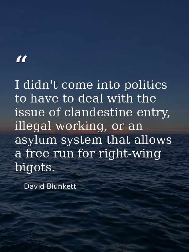I didn't come into politics to have to deal with the issue of clandestine entry, illegal working, or an asylum system th — David Blunkett