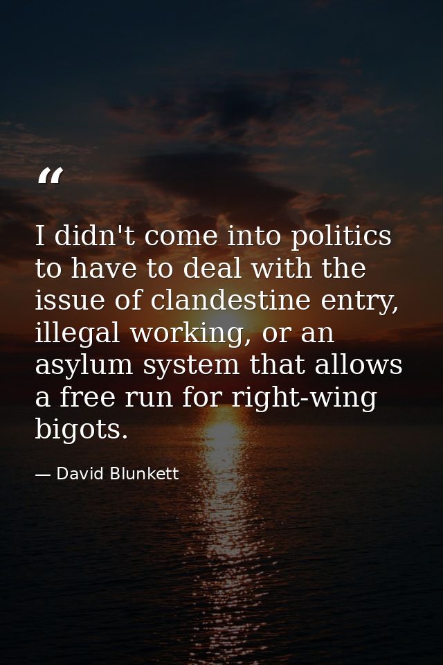 I didn't come into politics to have to deal with the issue of clandestine entry, illegal working, or an asylum system th — David Blunkett