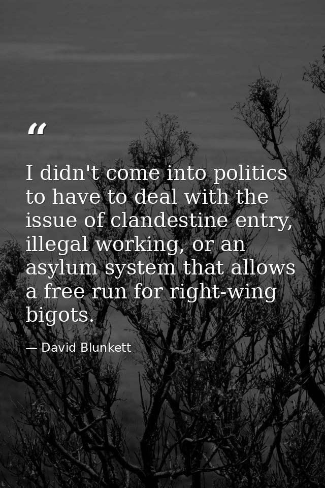 I didn't come into politics to have to deal with the issue of clandestine entry, illegal working, or an asylum system th — David Blunkett