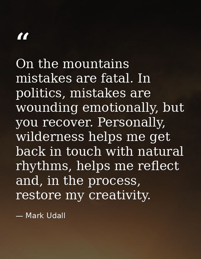 On the mountains mistakes are fatal. In politics, mistakes are wounding emotionally, but you recover. Personally, wilder — Mark Udall
