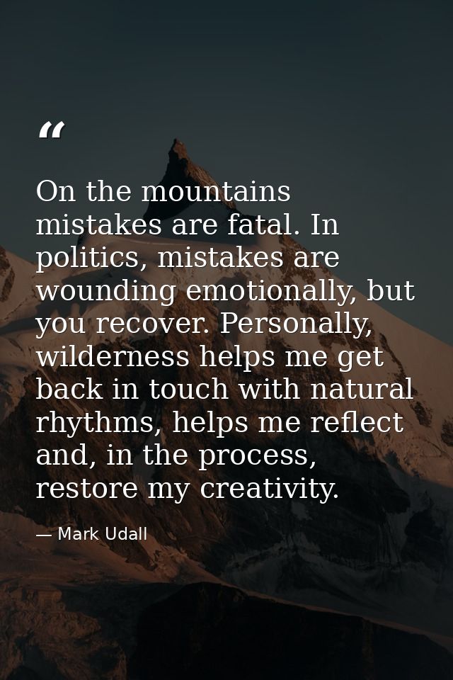 On the mountains mistakes are fatal. In politics, mistakes are wounding emotionally, but you recover. Personally, wilder — Mark Udall