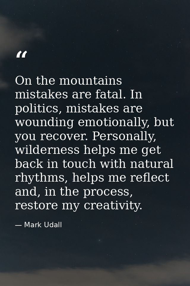 On the mountains mistakes are fatal. In politics, mistakes are wounding emotionally, but you recover. Personally, wilder — Mark Udall