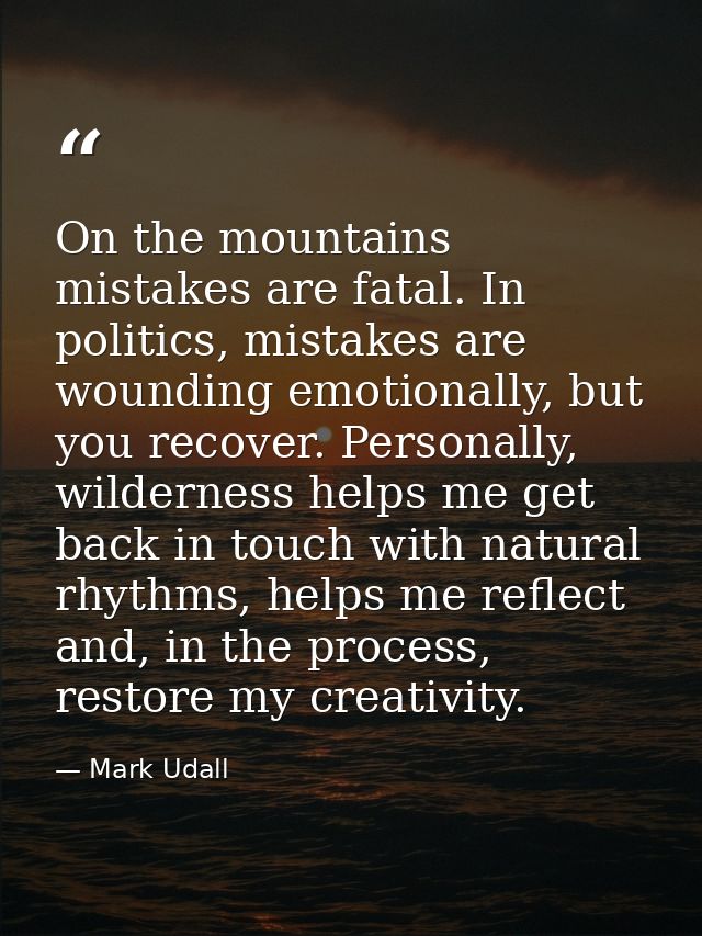 On the mountains mistakes are fatal. In politics, mistakes are wounding emotionally, but you recover. Personally, wilder — Mark Udall